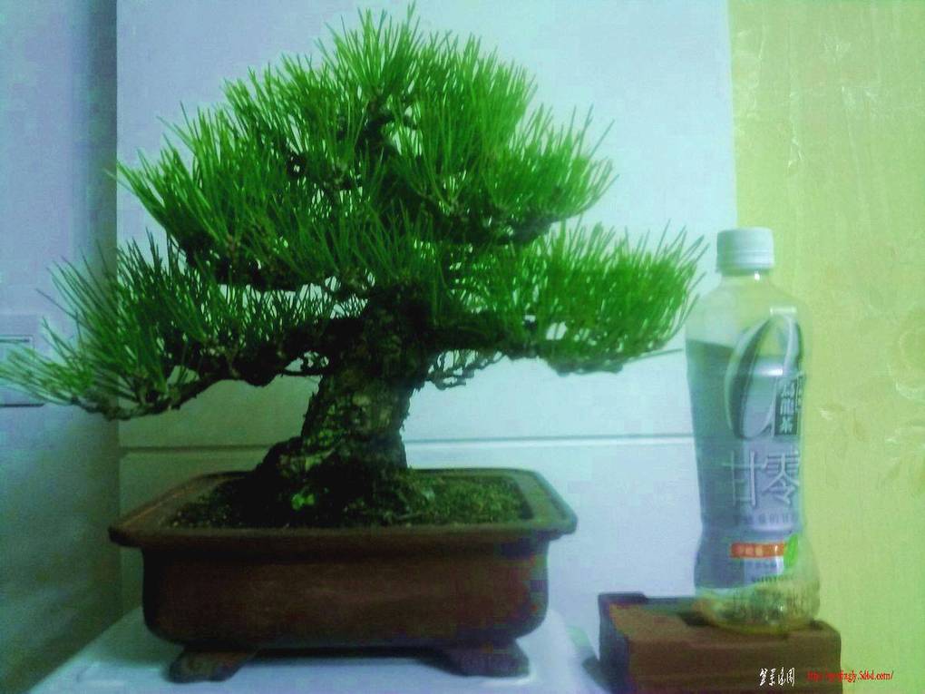 һú.jpg