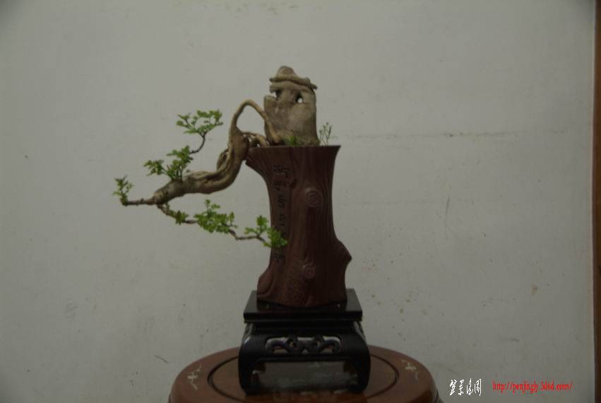 _DSF0491.jpg