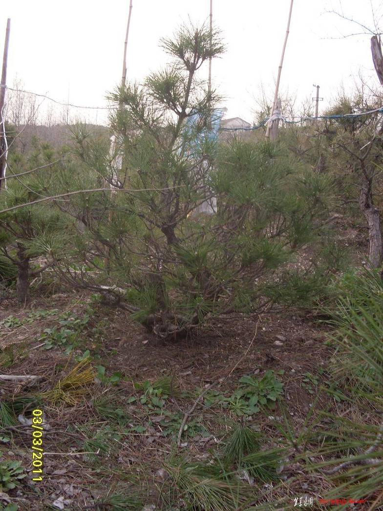 SDC13622.JPG