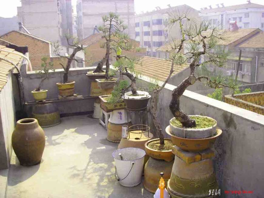 SDC11792.JPG