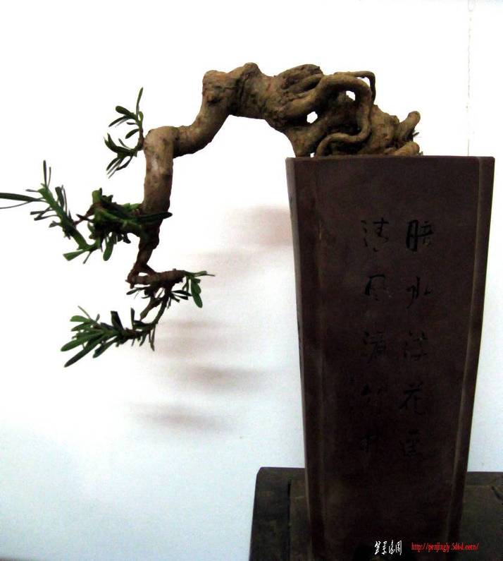 Ƭ 14197.jpg