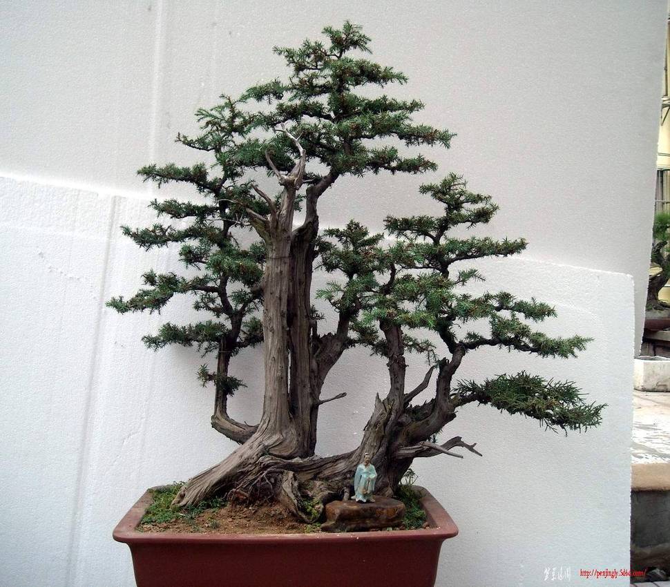 DSCN9591.JPG