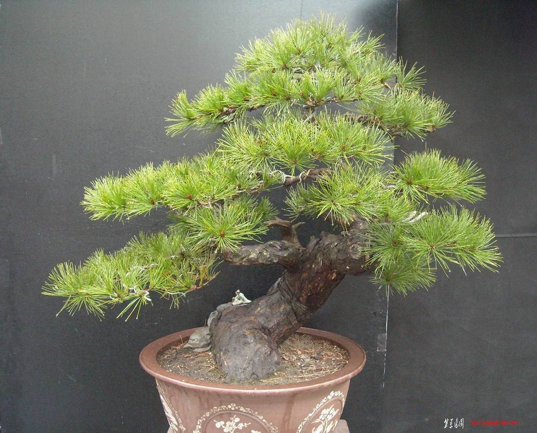 DSCN1126.JPG