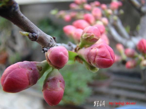 DSC08471.jpg