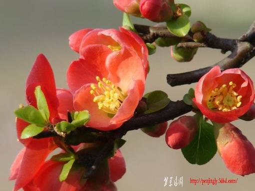 20080324 040.jpg