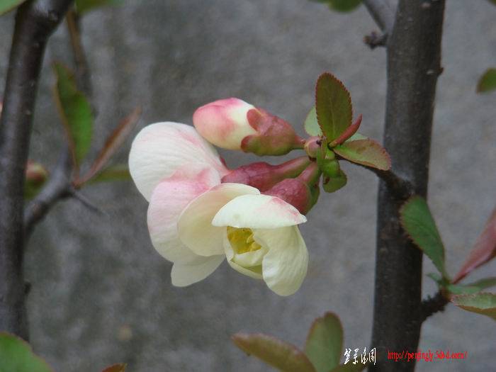 DSC08521.jpg