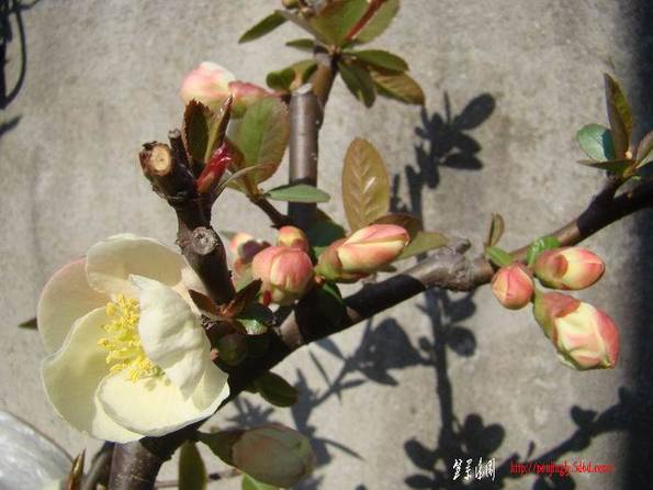 DSC08579.jpg