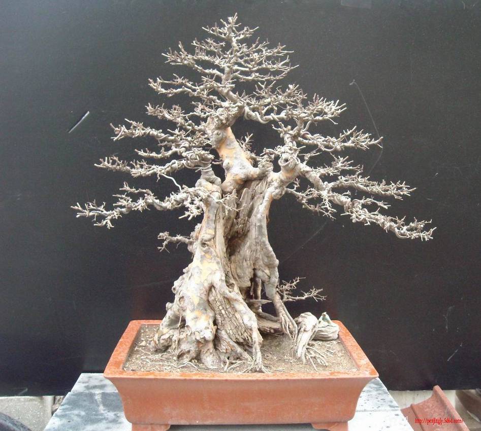 DSCN1055.JPG
