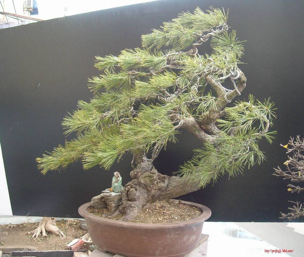 DSCN1035.JPG