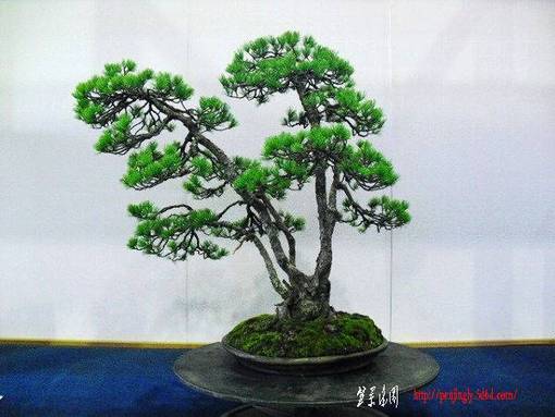 20100329-s-385.jpg