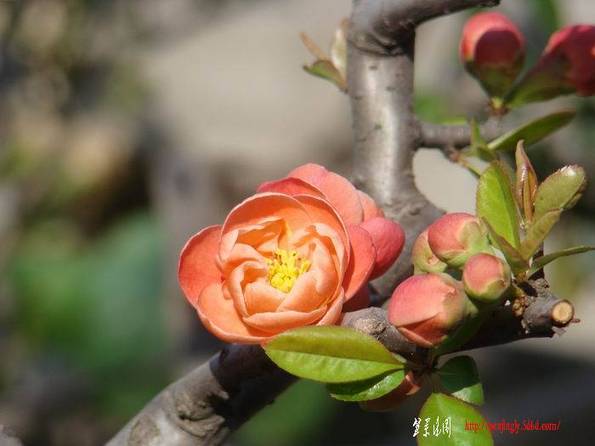 DSC08582.jpg
