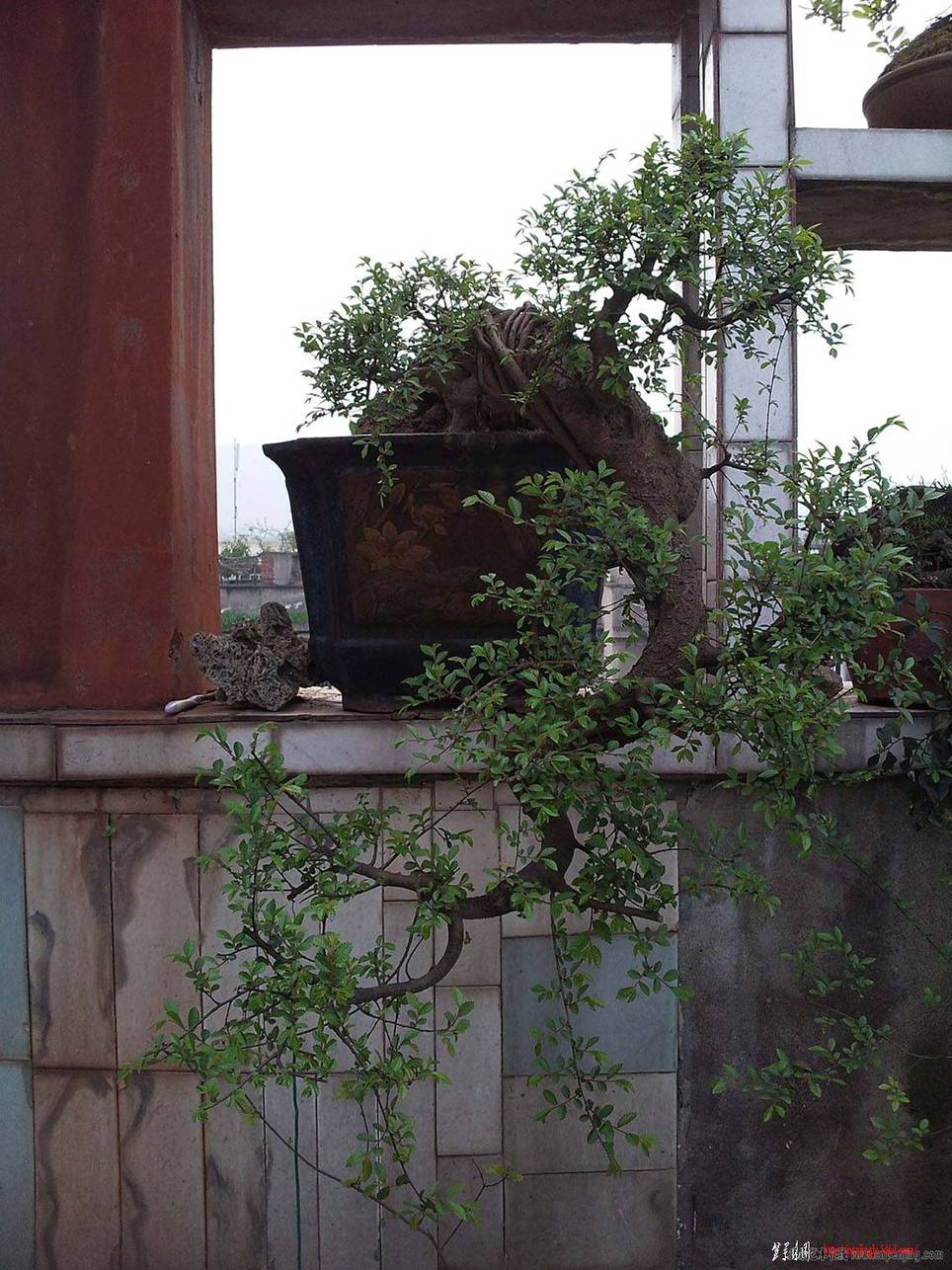 ʽ20110331Ƭ.jpg