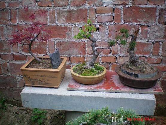 100_0874.JPG