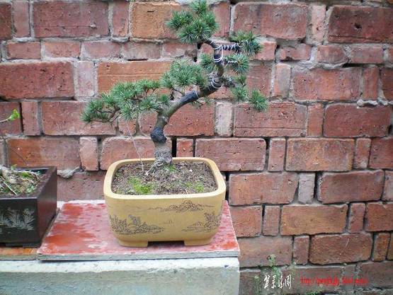 100_0870.JPG
