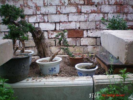 100_0884.JPG