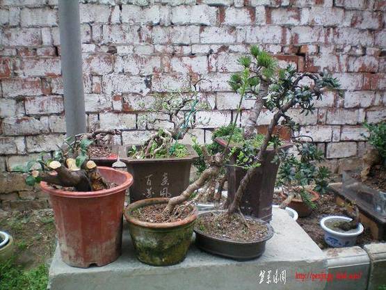 100_0883.JPG