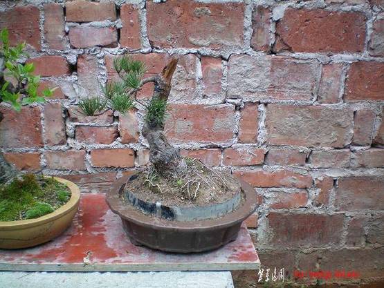 100_0872.JPG