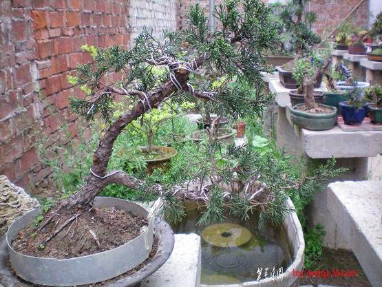 100_0868.JPG