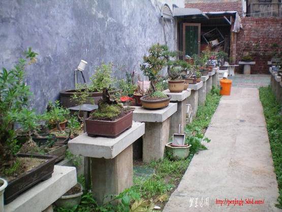 100_0886.JPG