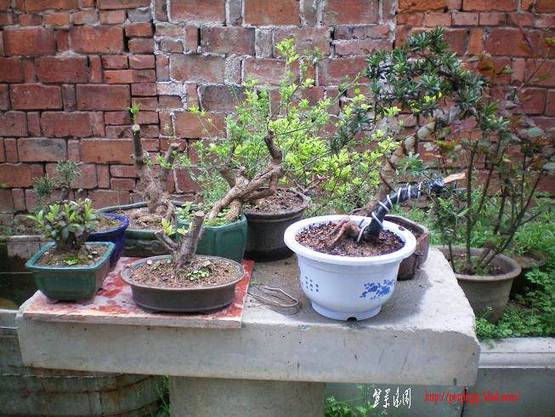 100_0878.JPG