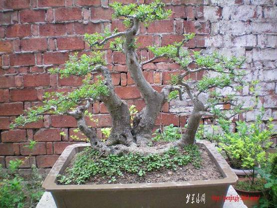 100_0880.JPG