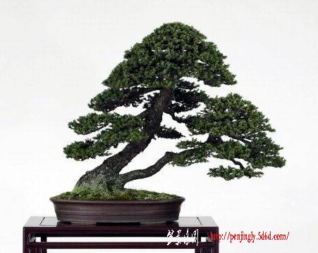 f84661d.jpg