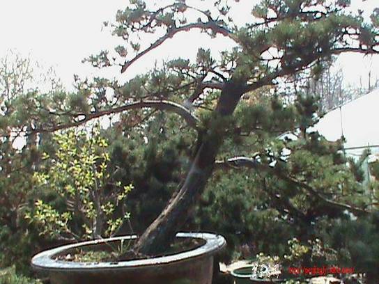 DSC00090.JPG