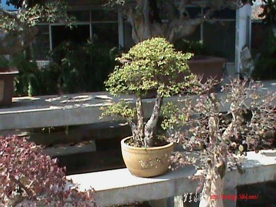 DSC00085.JPG