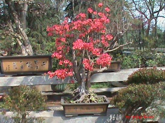 DSC00080.JPG