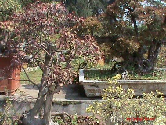 DSC00081.JPG
