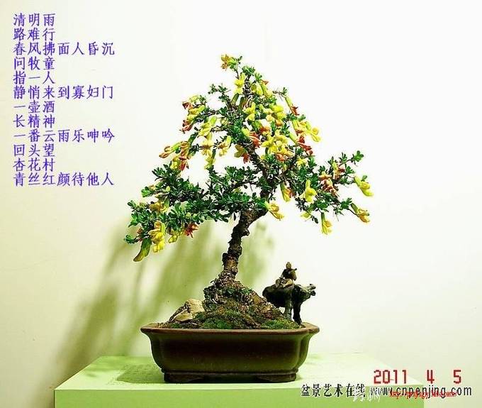 135418m6hcl097c7796h75.jpg