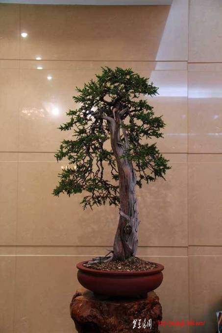 ������ɰ�� 657.jpg