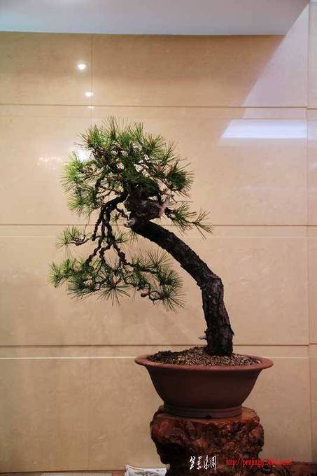 ������ɰ�� 401.jpg