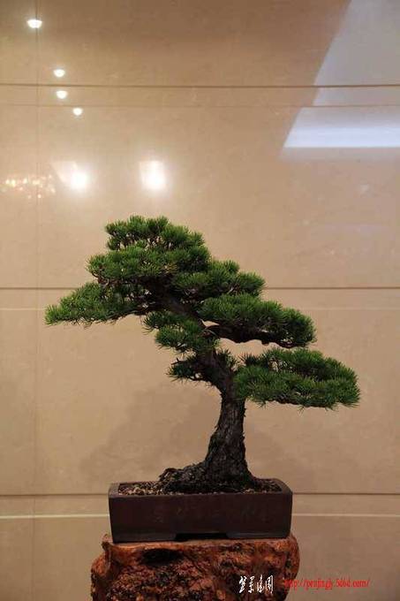 ������ɰ�� 390.jpg