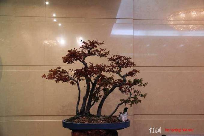 ������ɰ�� 545.jpg