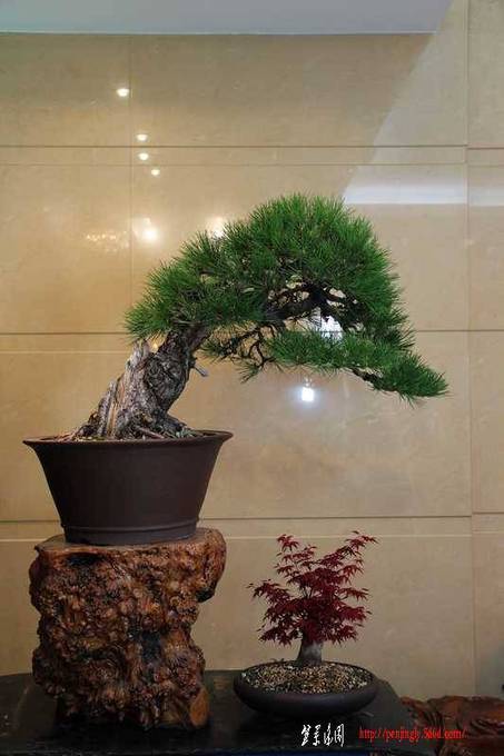 ������ɰ�� 274.jpg