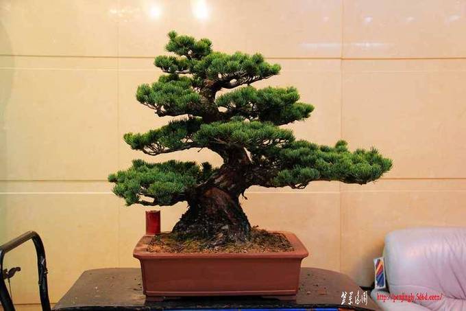 ������ɰ�� 724.jpg