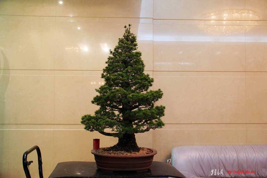 ������ɰ�� 777.jpg