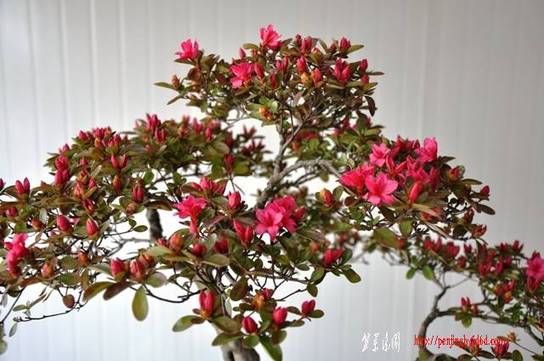 Ƭ 080.jpg
