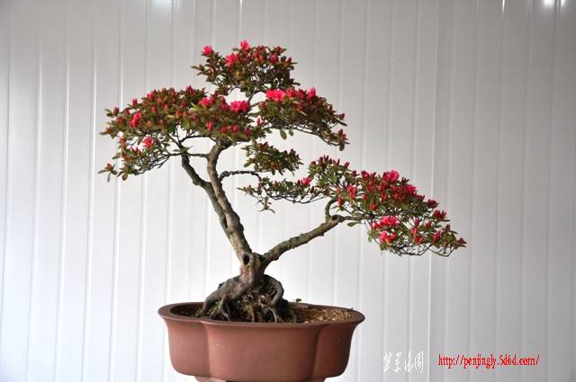Ƭ 079.jpg