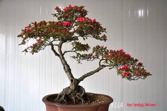 Ƭ 081.jpg