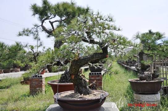 Ƭ 084.jpg