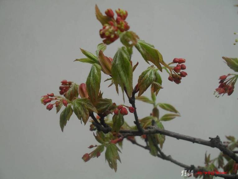 С SDC11163.jpgǷ2.jpg