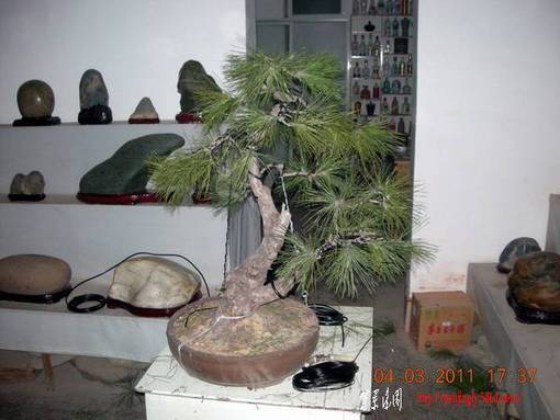 DSCN4173.JPG