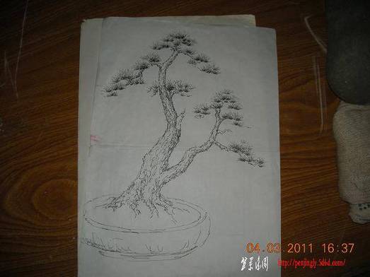 DSCN4172.JPG
