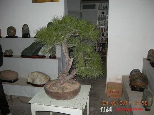 DSCN4165.JPG