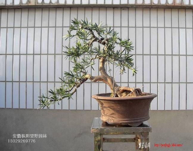 SDC15469.jpg