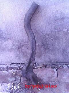 IMG0323A.jpg