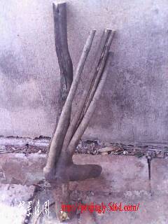IMG0322A.jpg