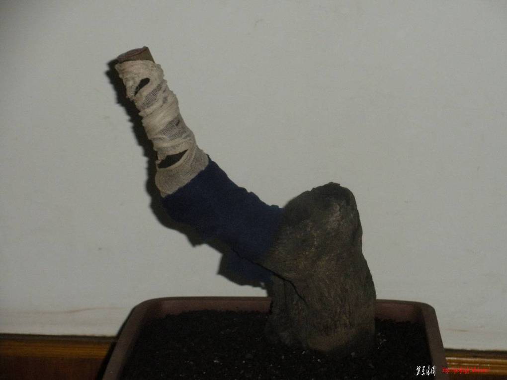 2011.4.7 025.jpg